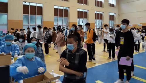 珠海金湾爆料案件最新消息,案情揭秘，疑云逐步揭开  第2张